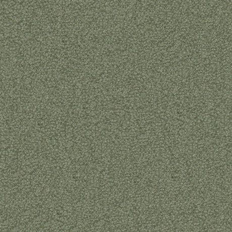 Maxwell TX11015 TEXEL # 1015 SAGE
