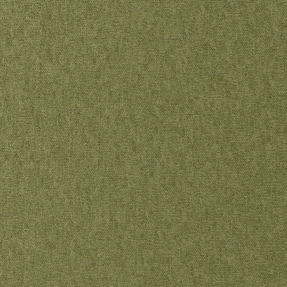 Maxwell CHE812 CONTE # 812 OLIVE Fabric
