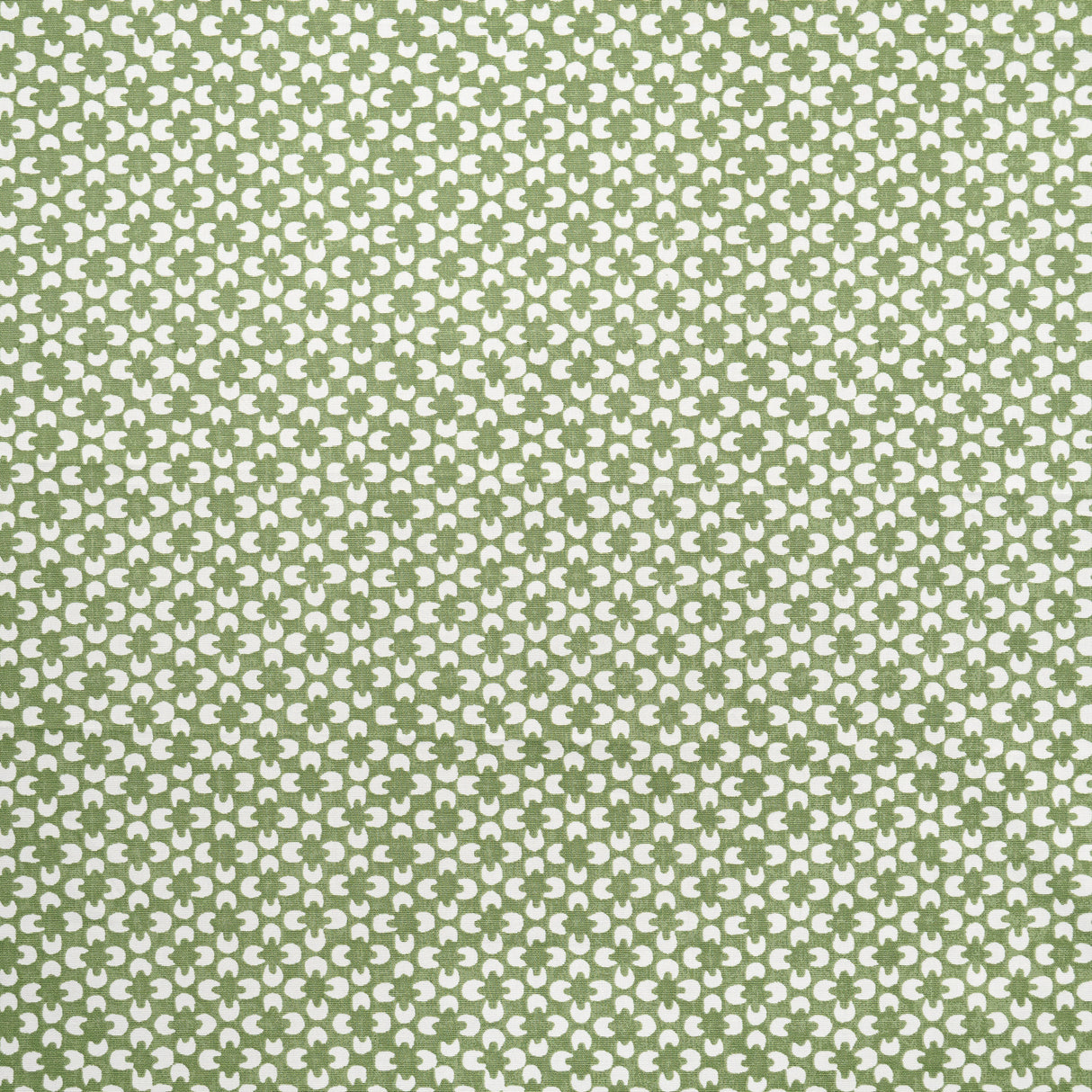 Maxwell RR6624 RYDER # 624 ALOE