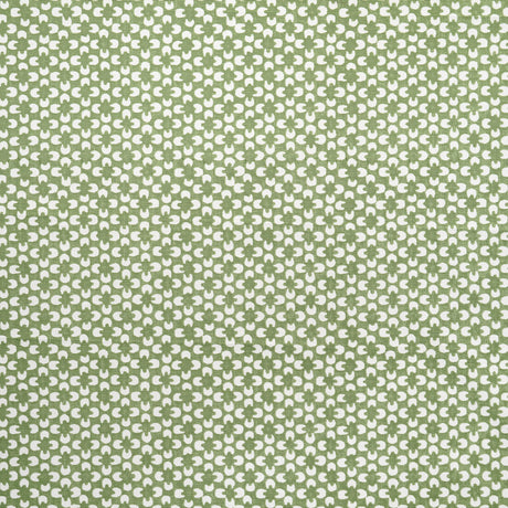 Maxwell RR6624 RYDER # 624 ALOE
