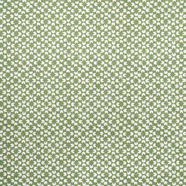 Maxwell RR6624 RYDER # 624 ALOE