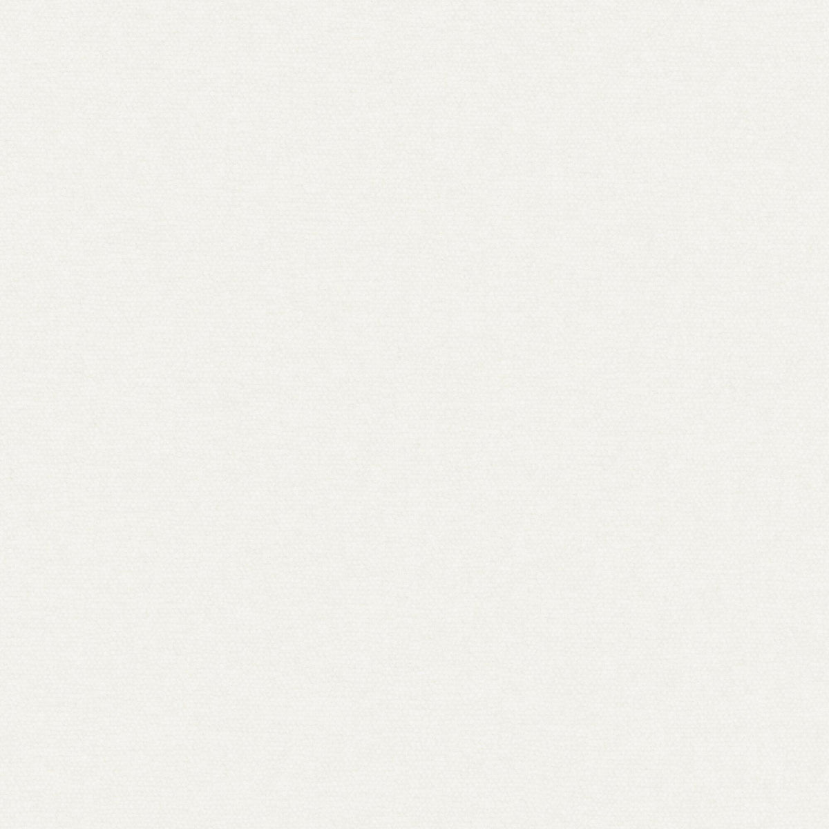 Maxwell CHE946 CONTE # 946 BONE Fabric
