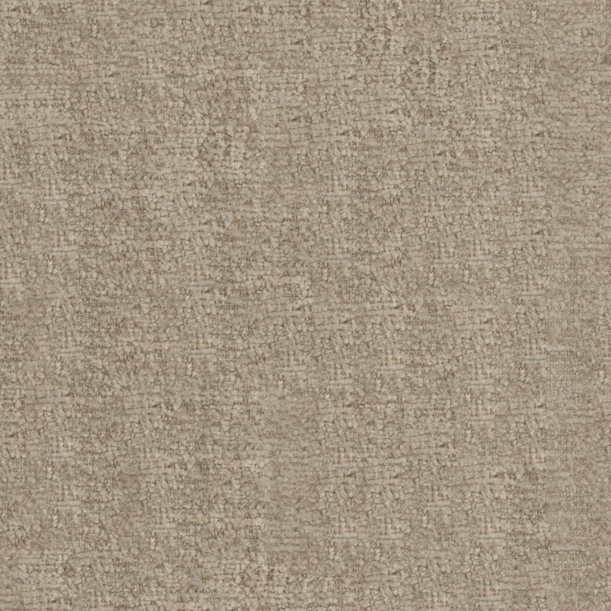Maxwell BFA809 BRAVA # 809 FOSSIL