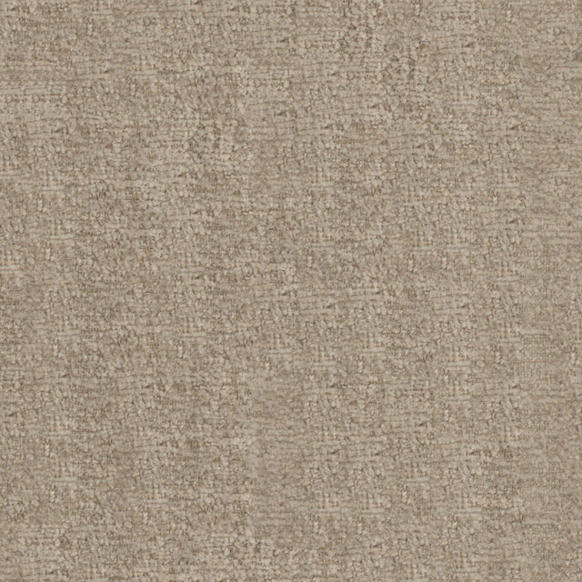 Maxwell BFA809 BRAVA # 809 FOSSIL