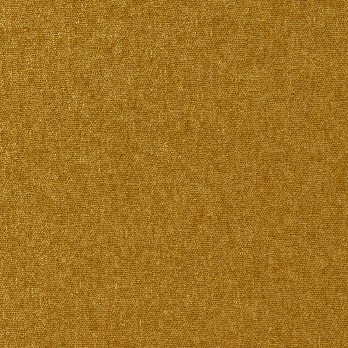Maxwell CHE903 CONTE # 903 BUTTERSCOTCH Fabric