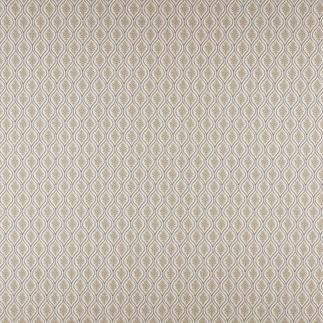 Maxwell BFF542 BIRCH # 542 STONE