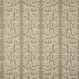 Maxwell TY5426 TILLY # 426 WHEAT