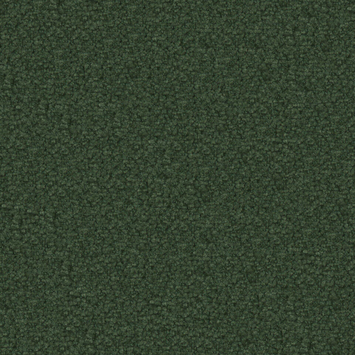 Maxwell TX11017 TEXEL # 1017 EVERGREEN