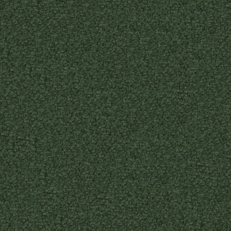 Maxwell TX11017 TEXEL # 1017 EVERGREEN