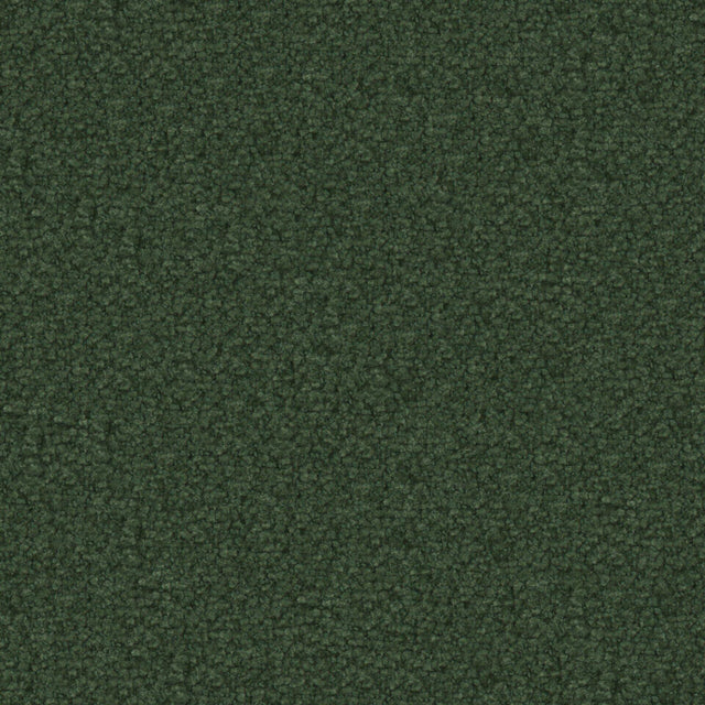 Maxwell TX11017 TEXEL # 1017 EVERGREEN