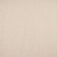 Maxwell CJK823 CARROLL # 823 SISAL