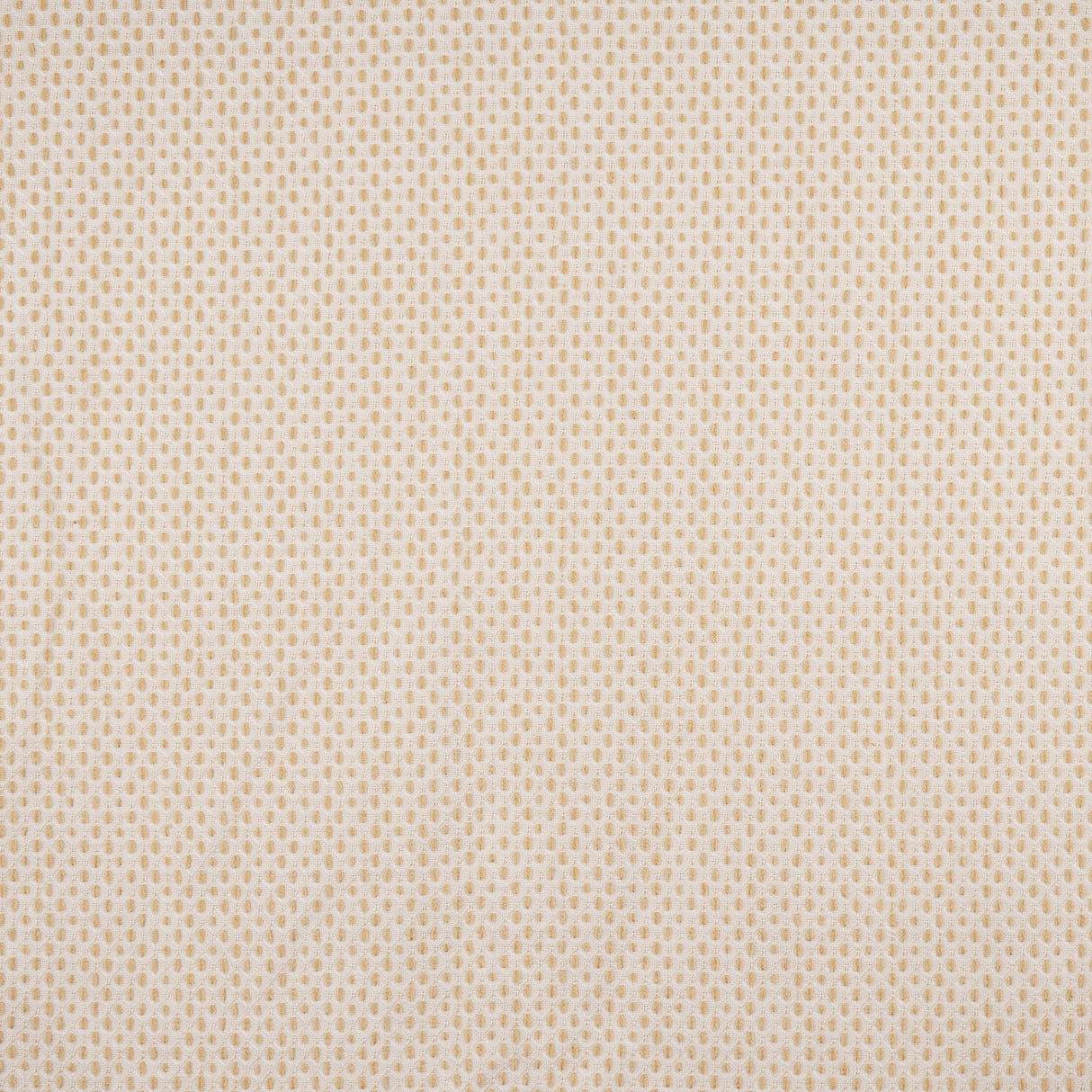 Maxwell CJK823 CARROLL # 823 SISAL