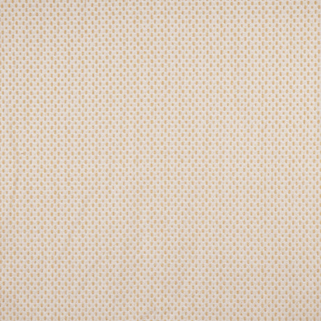 Maxwell CJK823 CARROLL # 823 SISAL