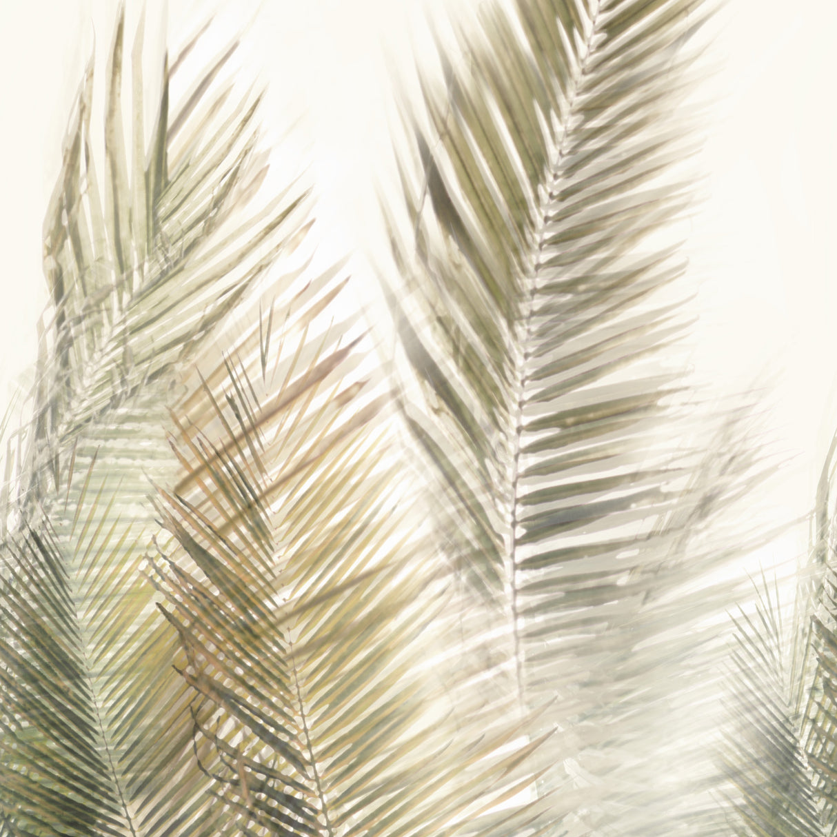  72-W8771 10010 Wallcovering - Eade's Wallpaper & Fabric