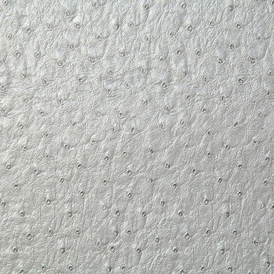 Pindler MICAH PLATINUM 1008 Fabric - Fabric Collection