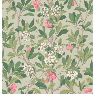 COLE & SON 100/10048.CS.0 STRAWBERRY TREE PINK & DUCK EGG Wallpaper - Eade's Wallpaper