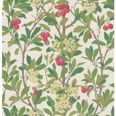 COLE & SON 100/10049.CS.0 STRAWBERRY TREE SCARLET & IVORY Wallpaper - Eade's Wallpaper