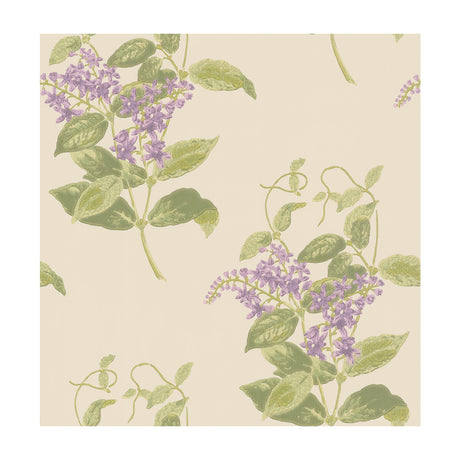 COLE & SON 100/12056.CS.0 MADRAS VIOLET OLIVE & LAVENDER Wallpaper - Eade's Wallpaper