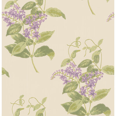 COLE & SON 100/12056.CS.0 MADRAS VIOLET OLIVE & LAVENDER Wallpaper - Eade's Wallpaper