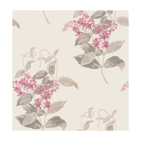 COLE & SON 100/12058.CS.0 MADRAS VIOLET PINK  Wallpaper - Eade's Wallpaper