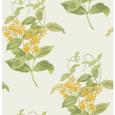 COLE & SON 100/12059.CS.0 MADRAS VIOLET YELLOW Wallpaper - Eade's Wallpaper