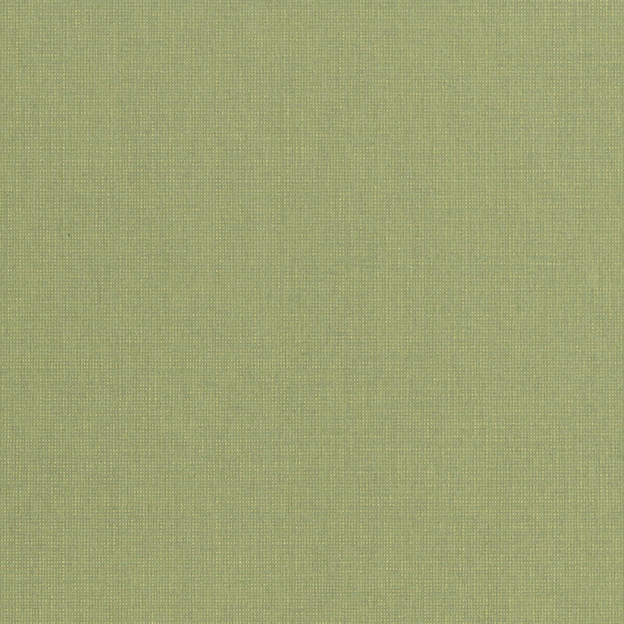 JF FABRICS 1-W8731 10161 Wallcovering - Eade's Wallpaper & Fabric