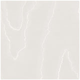 COLE & SON 106/1001.CS.0 WATERED SILK SILVER Wallpaper - Eade's Wallpaper