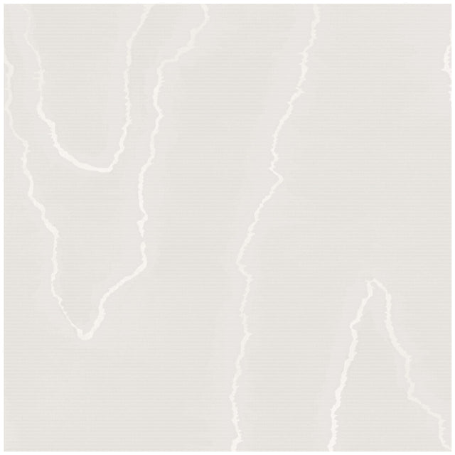 COLE & SON 106/1001.CS.0 WATERED SILK SILVER Wallpaper - Eade's Wallpaper