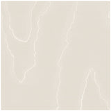 COLE & SON 106/1002.CS.0 WATERED SILK PEARL Wallpaper - Eade's Wallpaper