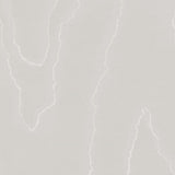 COLE & SON 106/1003.CS.0 WATERED SILK GREY Wallpaper - Eade's Wallpaper