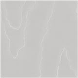 COLE & SON 106/1004.CS.0 WATERED SILK CLOUD GREY Wallpaper - Eade's Wallpaper