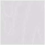 COLE & SON 106/1006.CS.0 WATERED SILK OYSTER Wallpaper - Eade's Wallpaper
