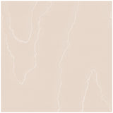 COLE & SON 106/1007.CS.0 WATERED SILK SALMON Wallpaper - Eade's Wallpaper
