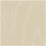 COLE & SON 106/1008.CS.0 WATERED SILK FAWN Wallpaper - Eade's Wallpaper