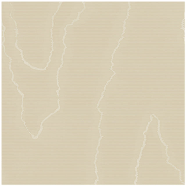 COLE & SON 106/1008.CS.0 WATERED SILK FAWN Wallpaper - Eade's Wallpaper