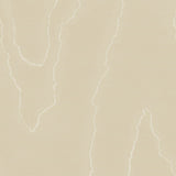 COLE & SON 106/1008.CS.0 WATERED SILK FAWN Wallpaper - Eade's Wallpaper