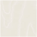 COLE & SON 106/1009.CS.0 WATERED SILK IVORY Wallpaper - Eade's Wallpaper