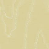COLE & SON 106/1011.CS.0 WATERED SILK LEMON Wallpaper - Eade's Wallpaper