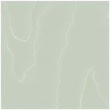 COLE & SON 106/1013.CS.0 WATERED SILK DUCK EGG Wallpaper - Eade's Wallpaper
