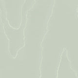 COLE & SON 106/1013.CS.0 WATERED SILK DUCK EGG Wallpaper - Eade's Wallpaper