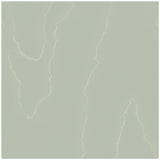 COLE & SON 106/1014.CS.0 WATERED SILK SAGE Wallpaper - Eade's Wallpaper