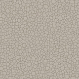 COLE & SON 106/2016.CS.0 PEBBLE MUSHROOM Wallpaper - Eade's Wallpaper