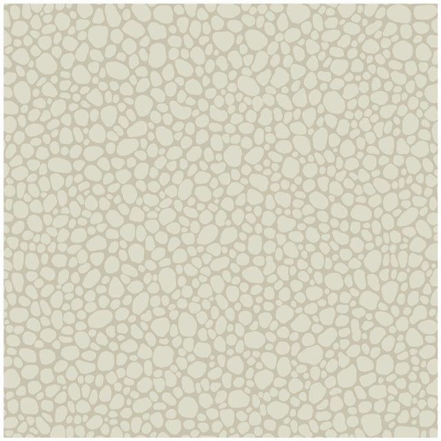 COLE & SON 106/2021.CS.0 PEBBLE STONE Wallpaper - Eade's Wallpaper