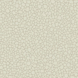 COLE & SON 106/2021.CS.0 PEBBLE STONE Wallpaper - Eade's Wallpaper
