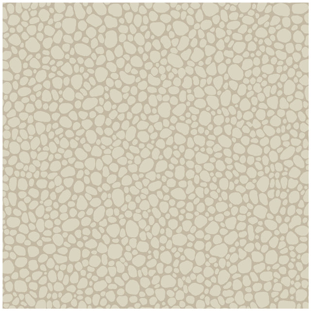 COLE & SON 106/2022.CS.0 PEBBLE PARCHMENT Wallpaper - Eade's Wallpaper