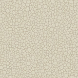 COLE & SON 106/2022.CS.0 PEBBLE PARCHMENT Wallpaper - Eade's Wallpaper