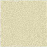 COLE & SON 106/2023.CS.0 PEBBLE CREAM Wallpaper - Eade's Wallpaper