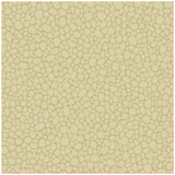 COLE & SON 106/2024.CS.0 PEBBLE LATTE Wallpaper - Eade's Wallpaper