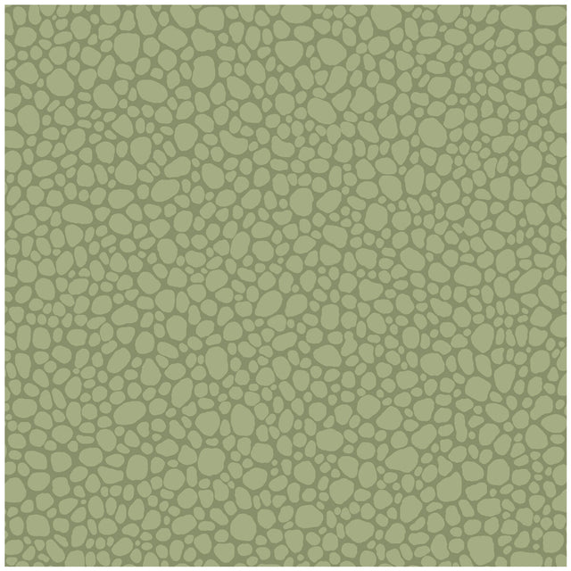COLE & SON 106/2026.CS.0 PEBBLE DARK OLIVE Wallpaper - Eade's Wallpaper