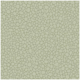 COLE & SON 106/2027.CS.0 PEBBLE SAGE Wallpaper - Eade's Wallpaper